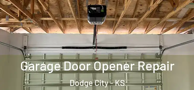  Garage Door Opener Repair Dodge City - KS
