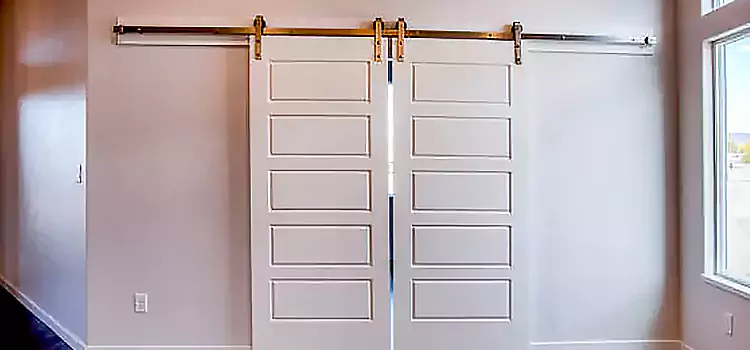 Glass Barn Door with Installation Hardware Kit Dodge City